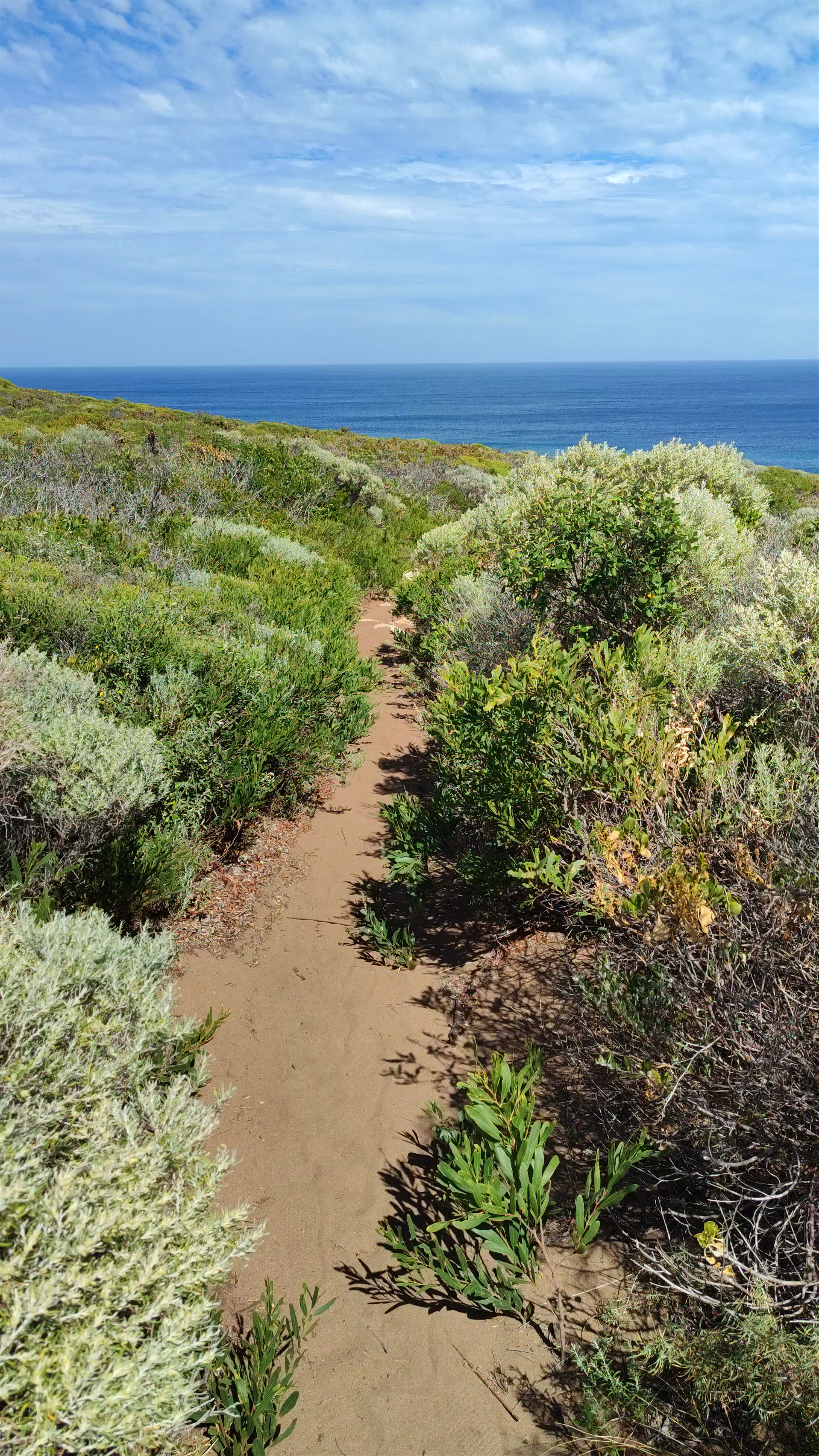 Scenic Coastal Trail at Point Marchant, Naturaliste, Western Australia