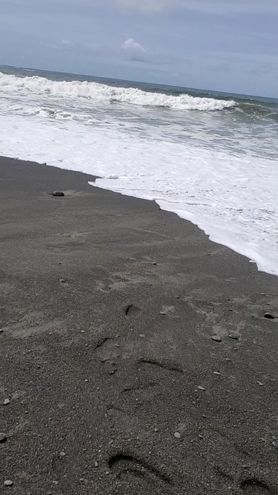 Rialto Beach - Beautiful blk sand Beach! - Hiking Near Me