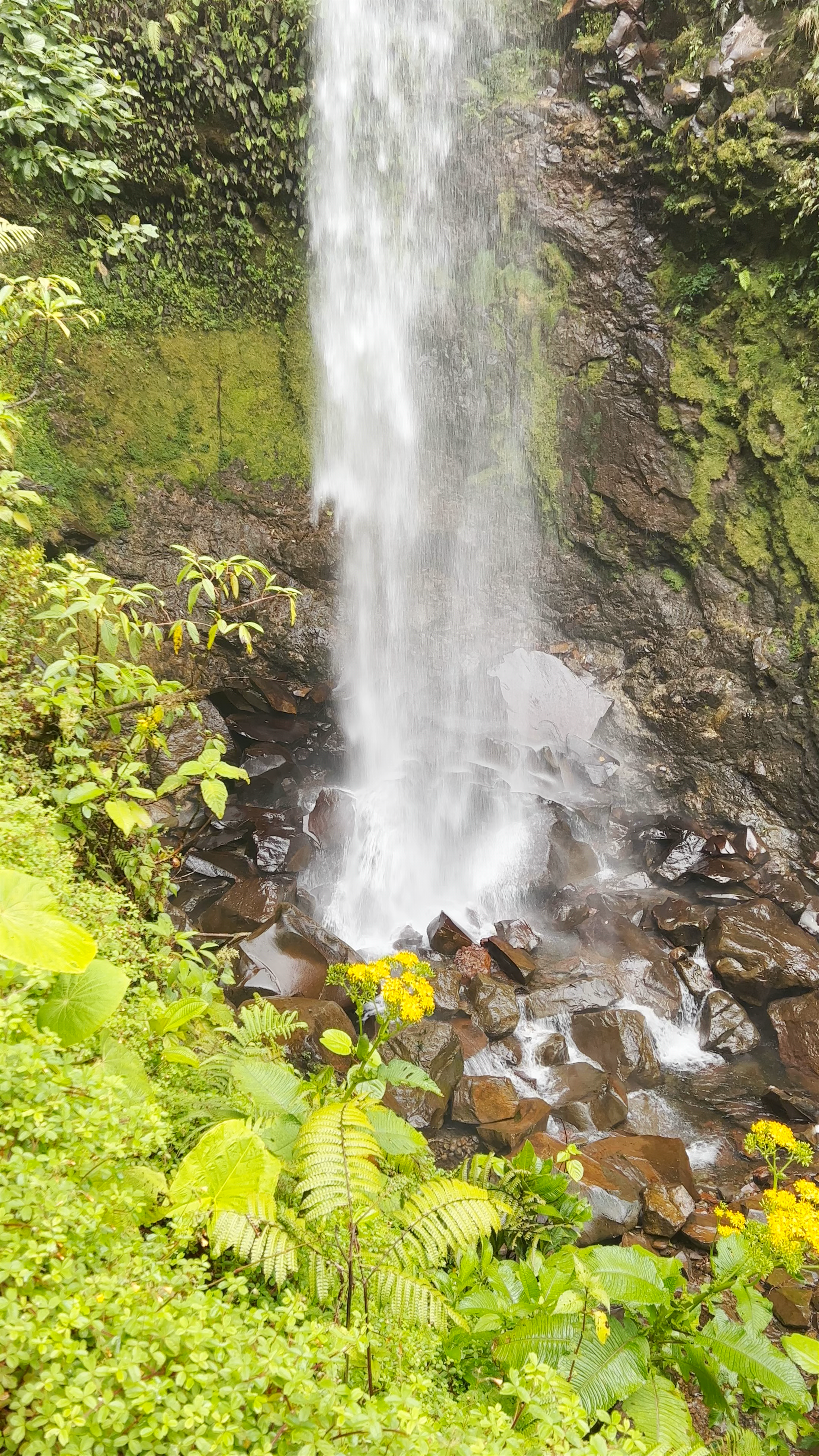 The Lost Waterfalls / Las Tres Cascadas