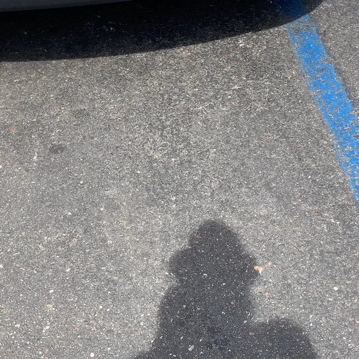 The Home Depot - You have a photo/video of the evidence of you having to do that because somebody else force you to do that? - Nurseries & Gardening Near Me - Mesa, Arizona