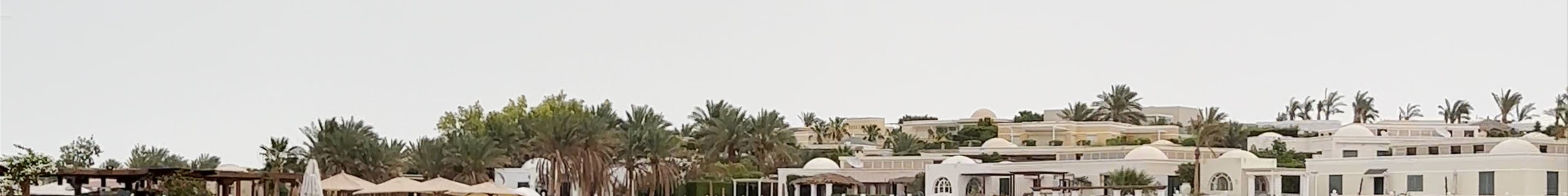 Tours & experiences in El Gouna