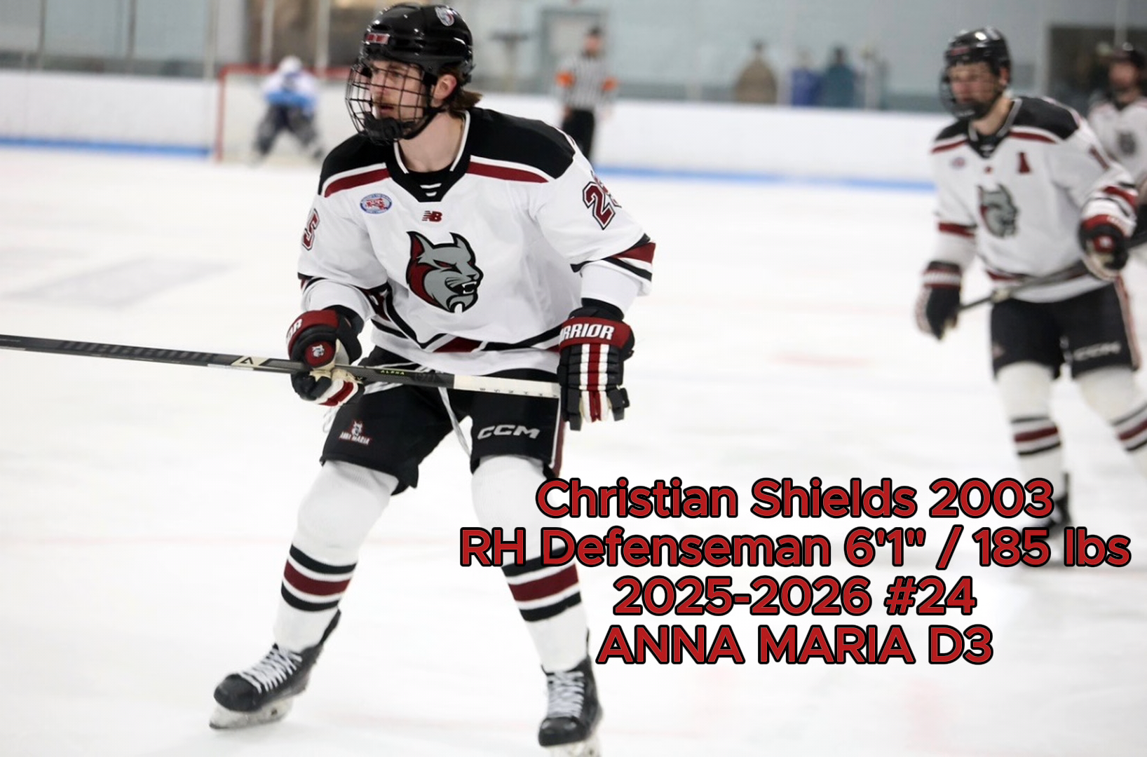 Christian Shields: Defensive Highlights from Anna Maria College