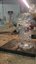 Small image 8