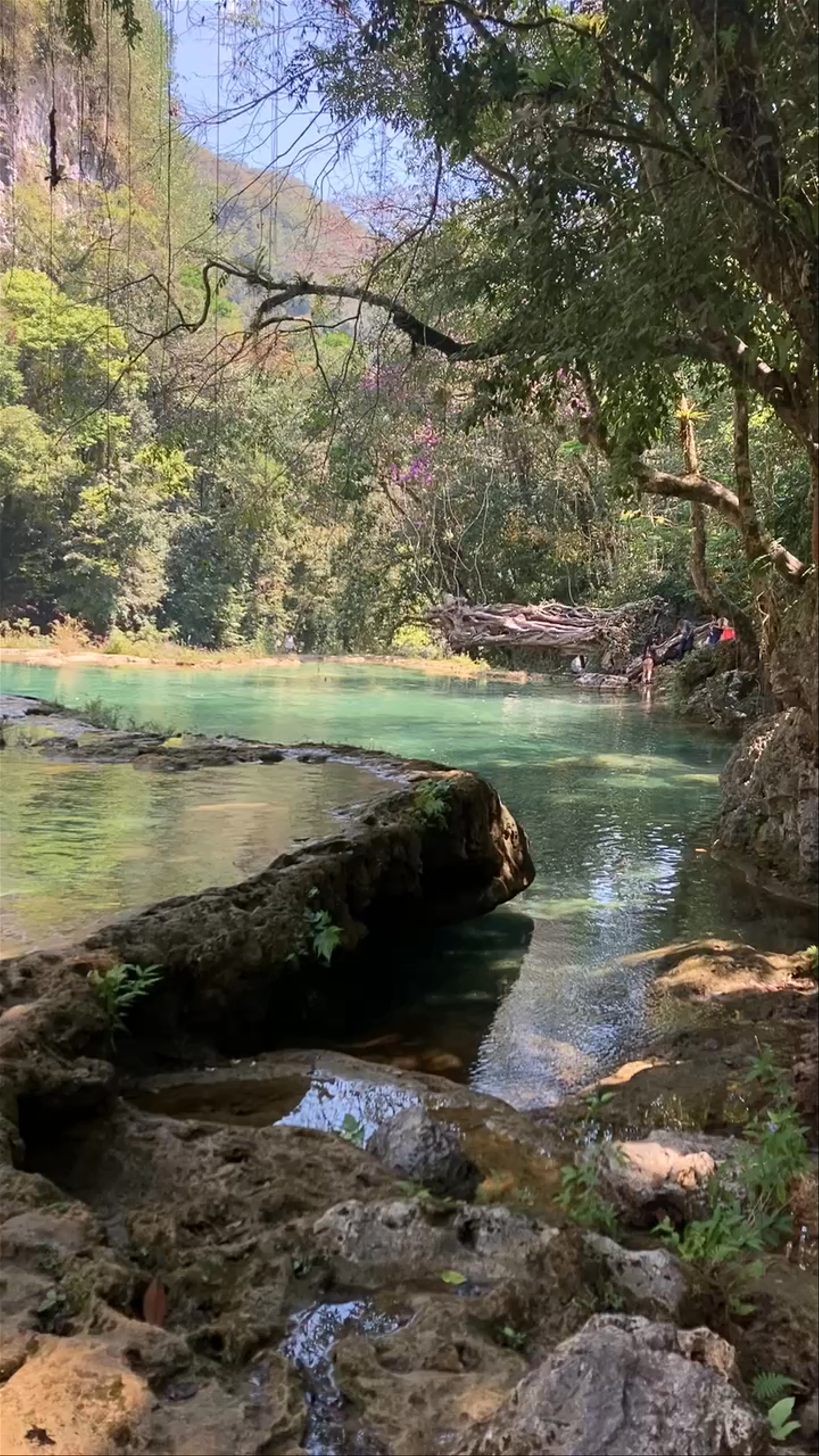 Semuc Champey
