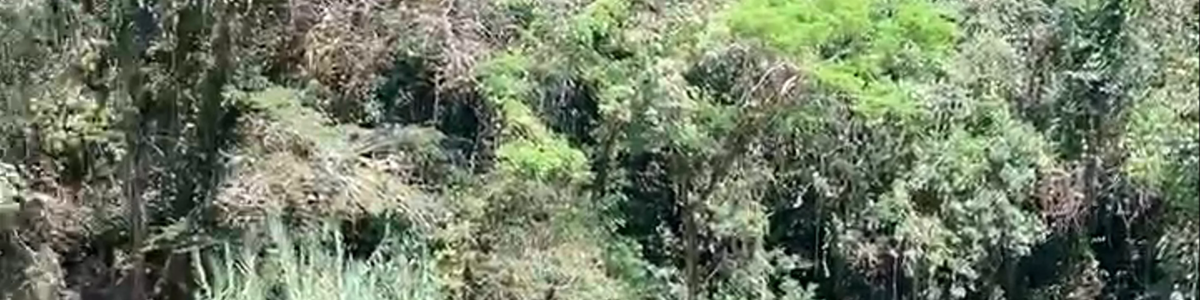 Semuc Champey