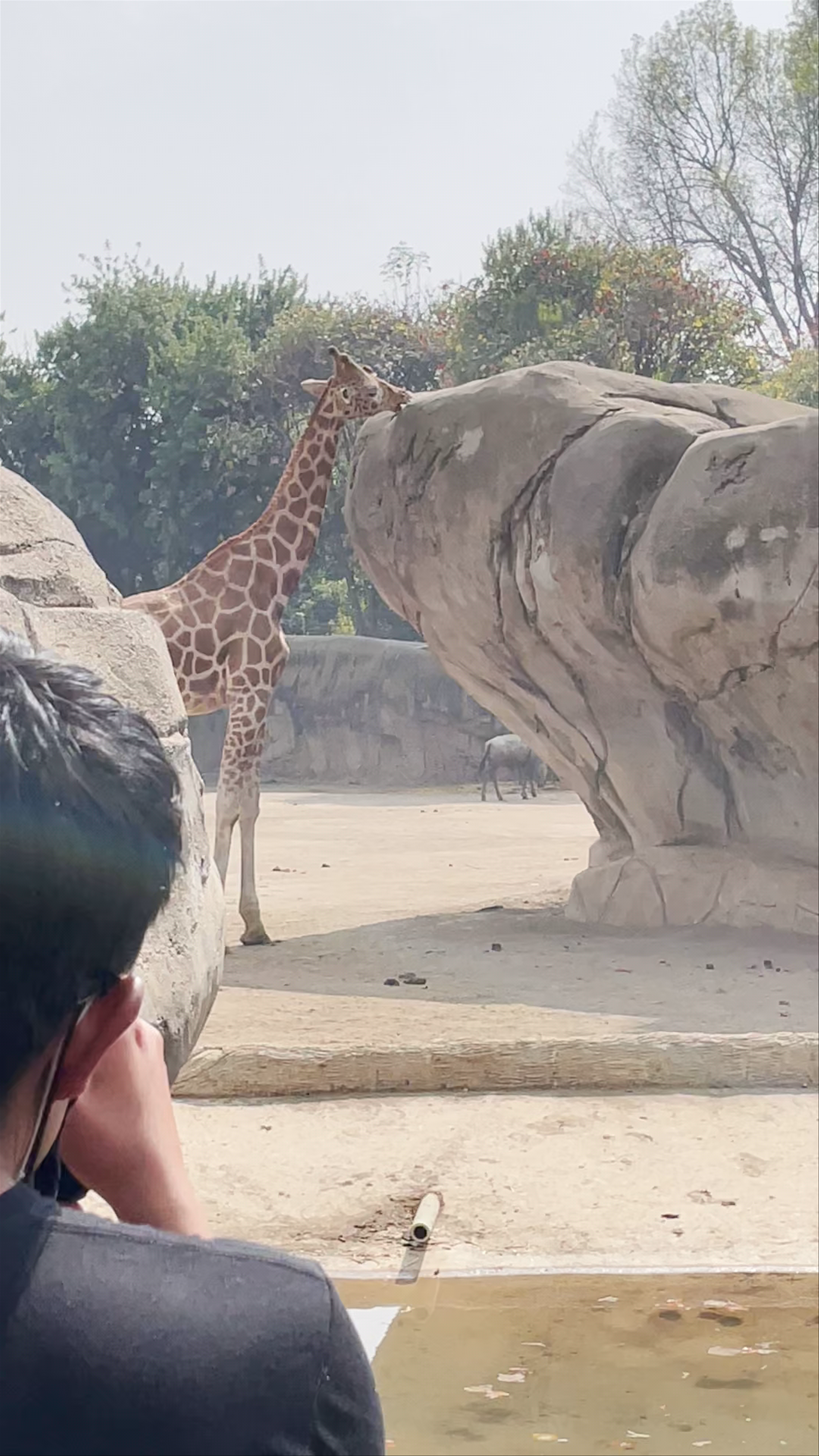 Wild Encounters at Zoológico de Chapultepec in Mexico City