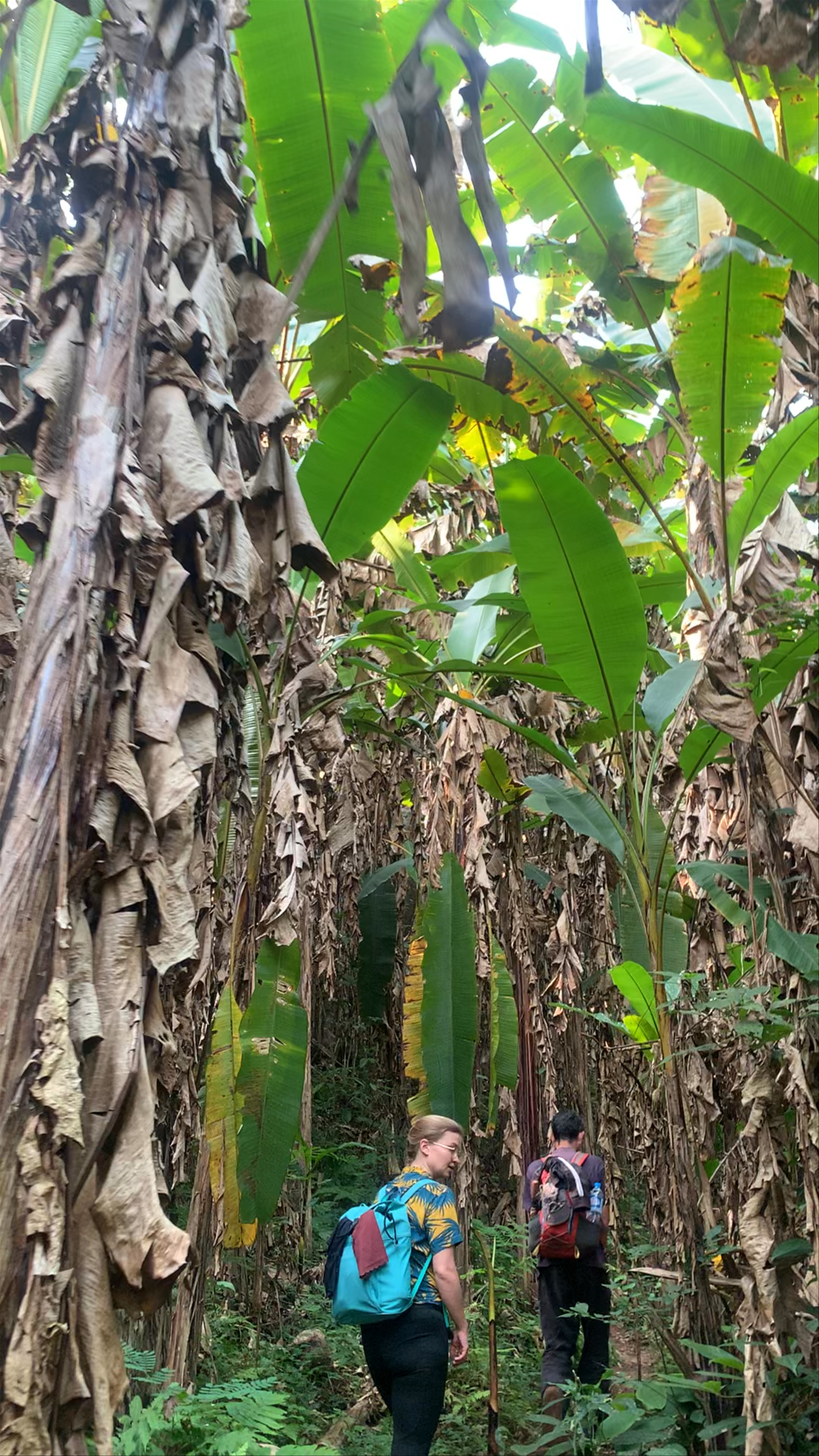 Nam Ha National Bio-Diversity Conservation Area