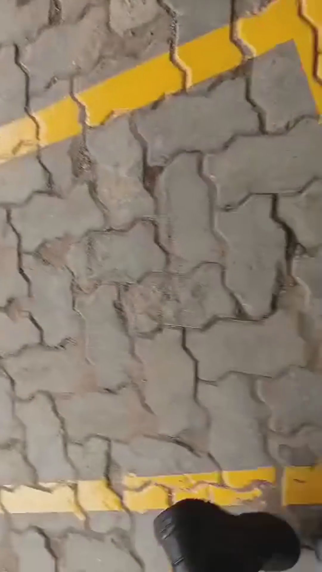 Walk-around video thumbnail