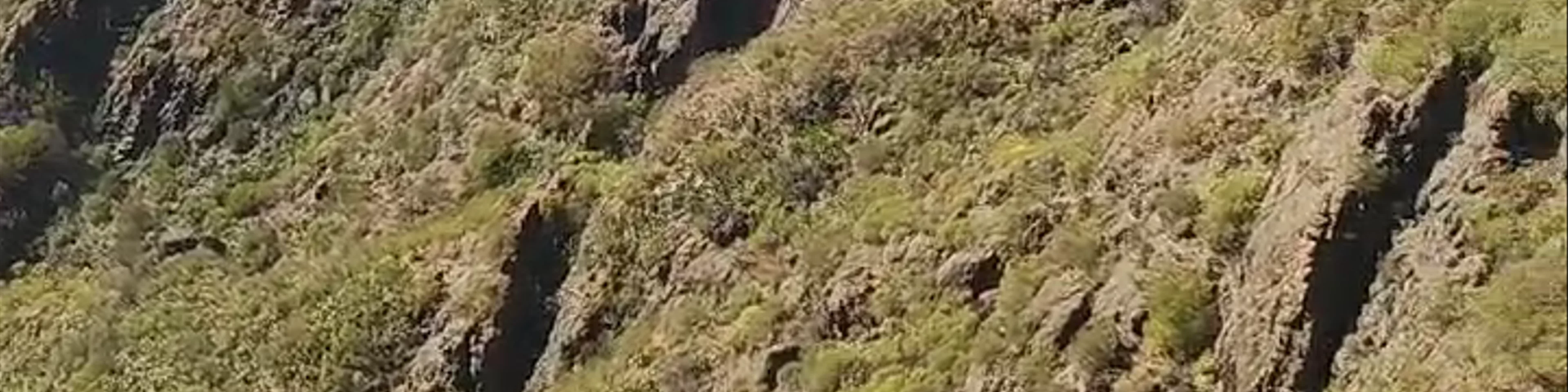 Mirador de Masca