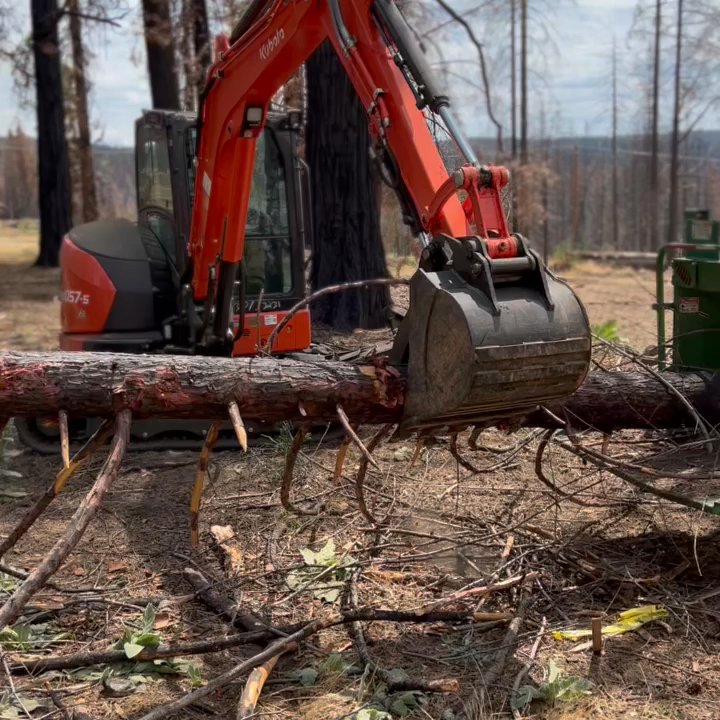 Watkins Forestry Services - Tree Services Near Me