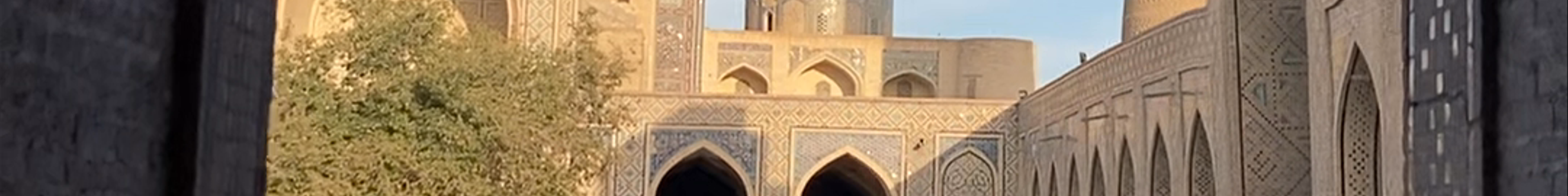 Tours & experiences in Bukhara