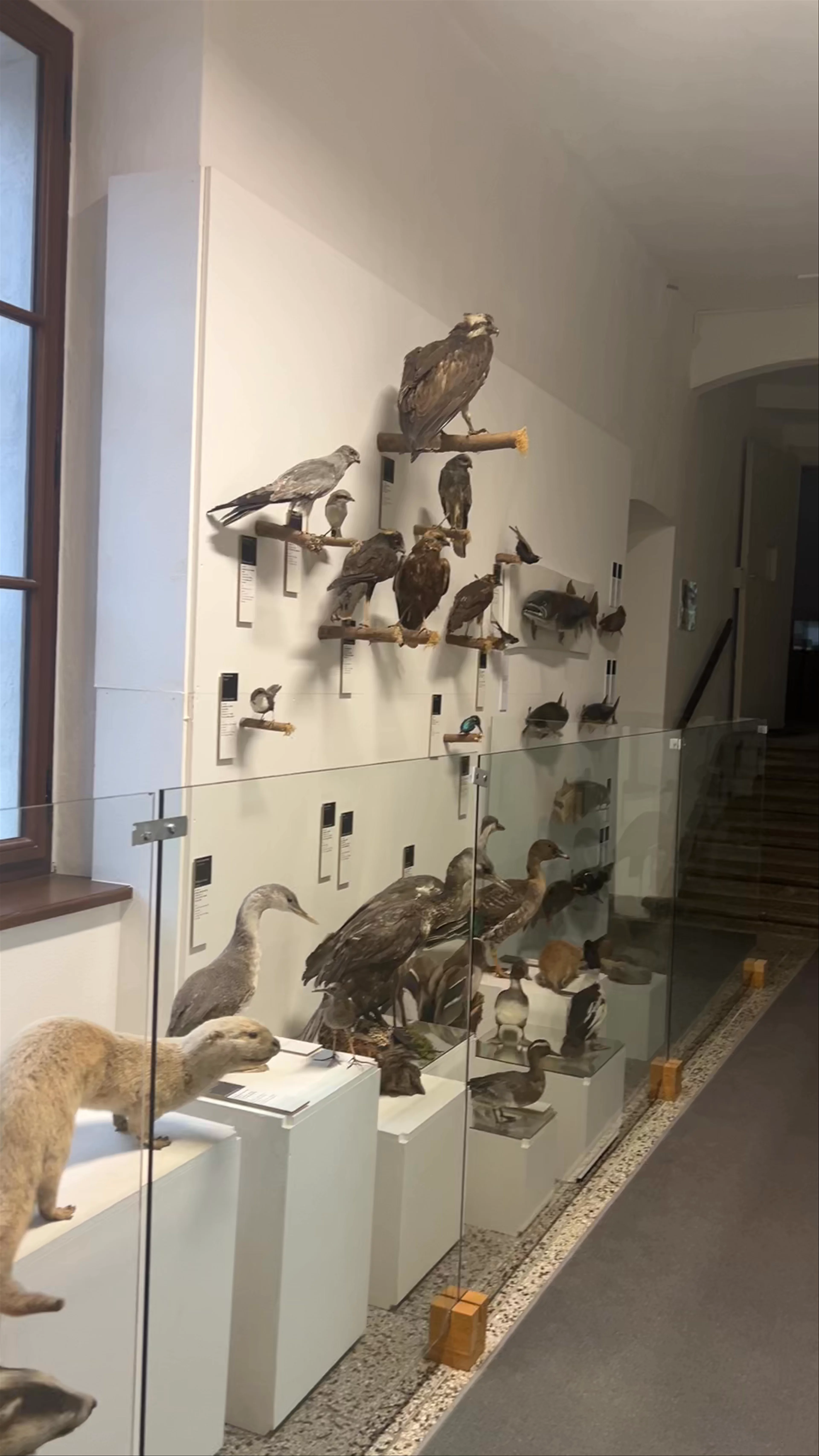 National Museum of Contemporary History