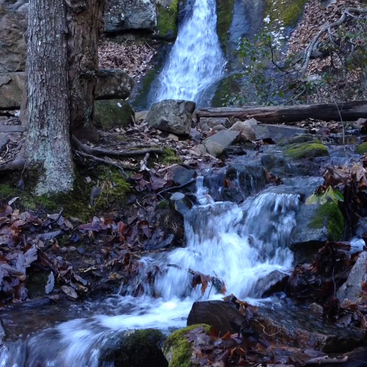 Douthat State Park - The falls are flowing. Blue Suck Falls. - Parks Near Me - Millboro, Virginia