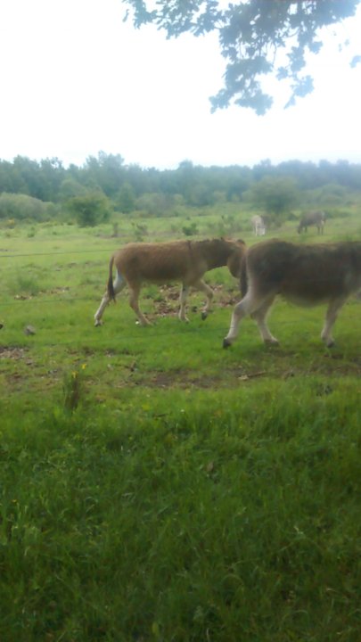 Wahner Heide - Hiking Near Me - Cologne, NW