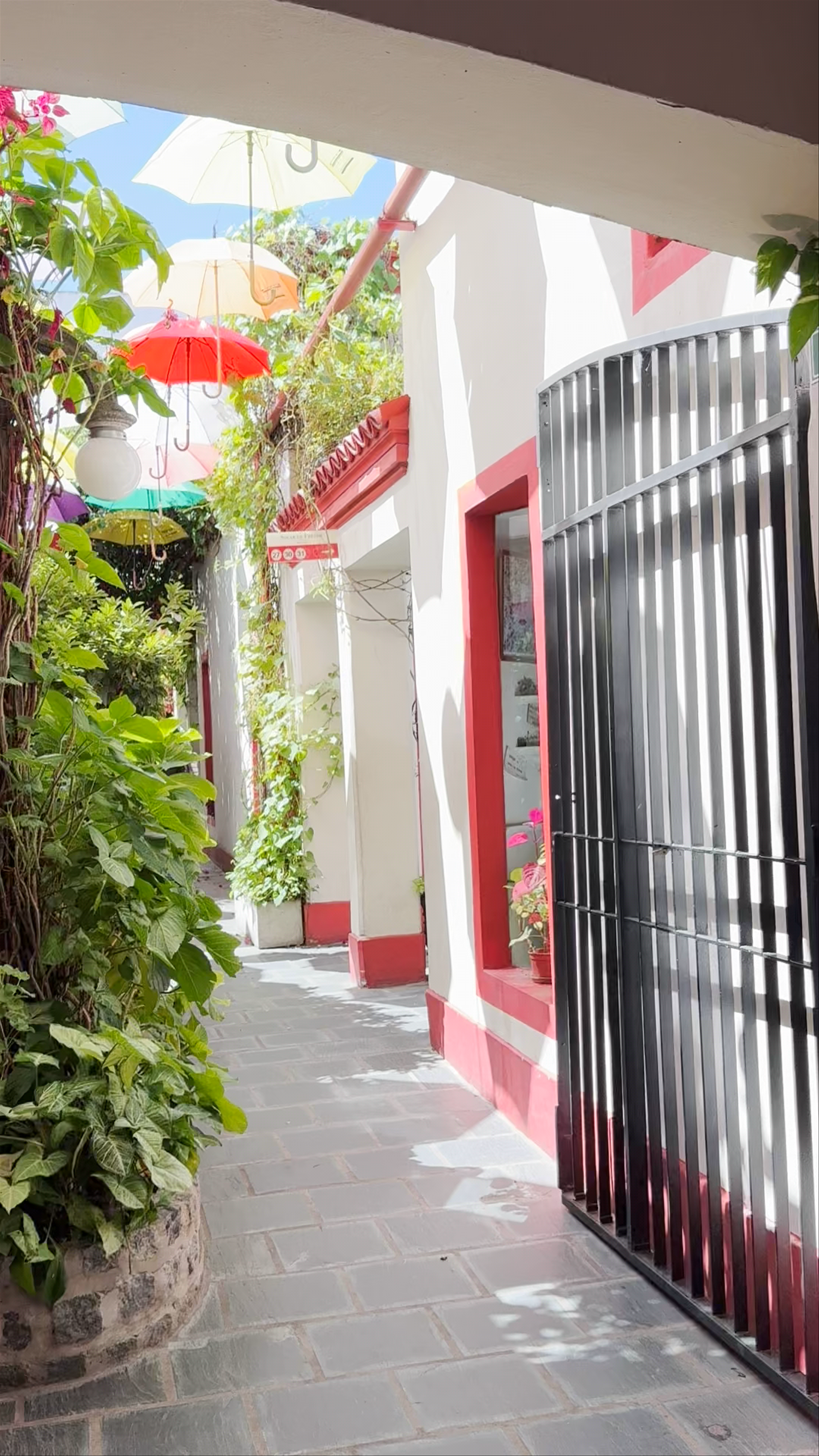 Galería Solar de French: A Colorful Hidden Alley in Buenos Aires