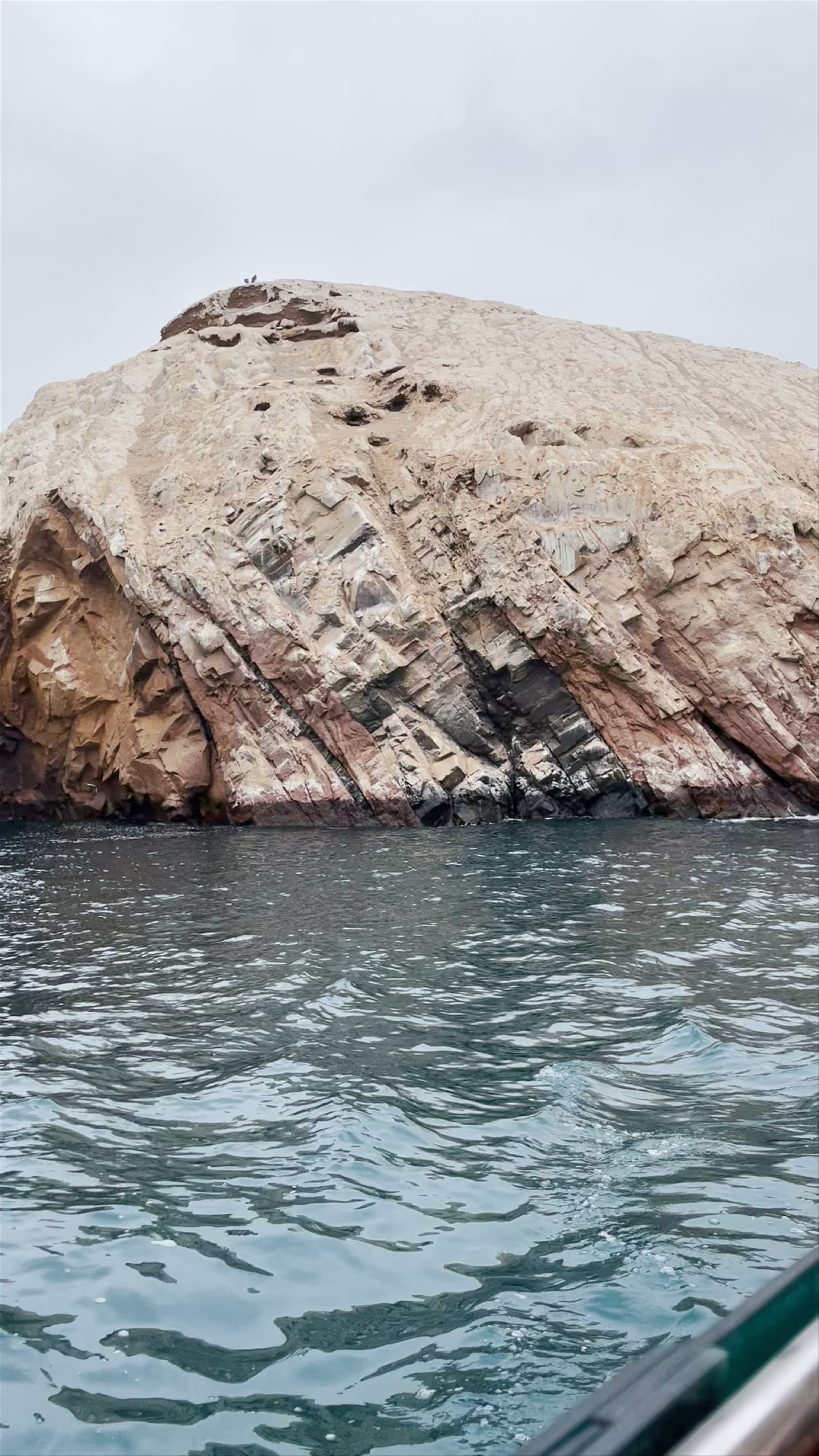 Islas ballestas paracas