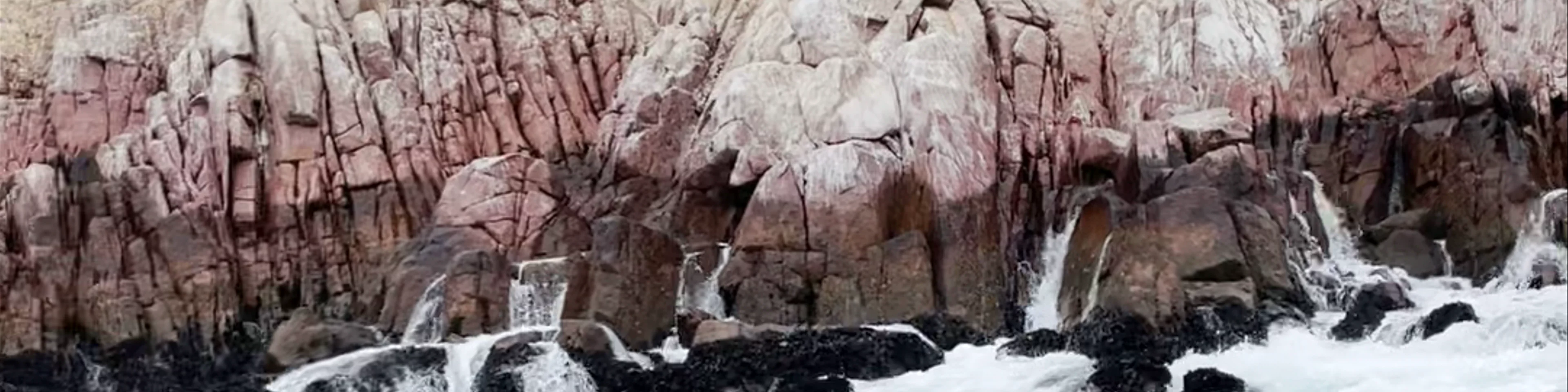 Islas ballestas paracas