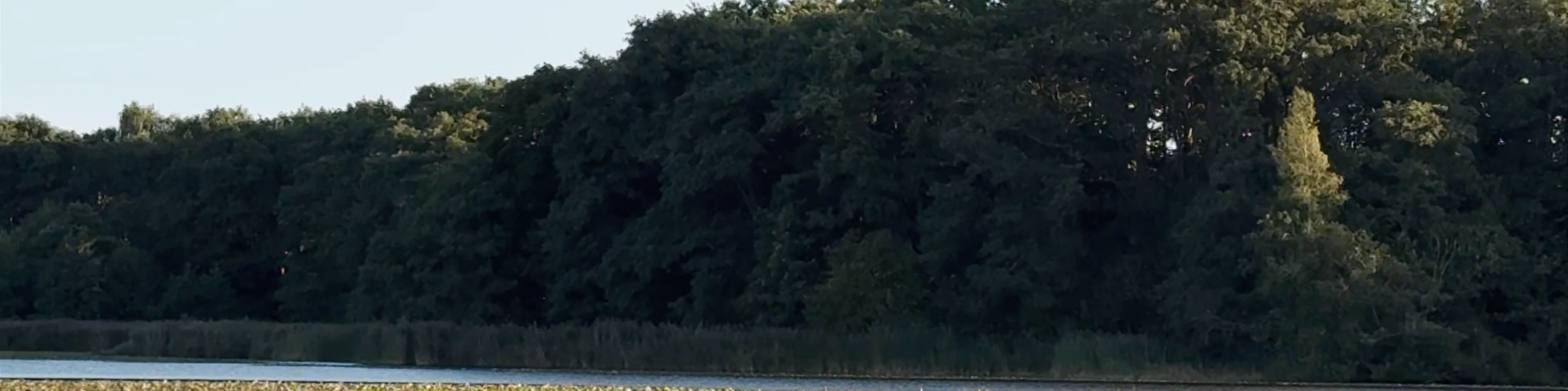 Lyngby Sø
