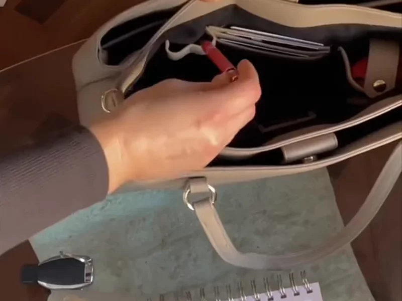 Handbag Walk-through