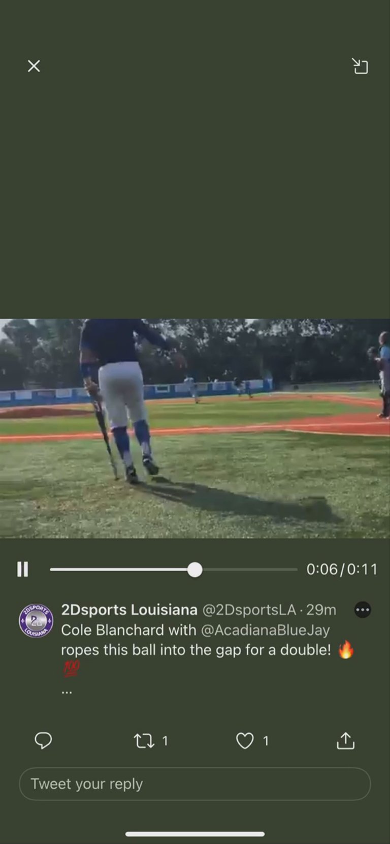 Acadiana Blue Jays Baseball