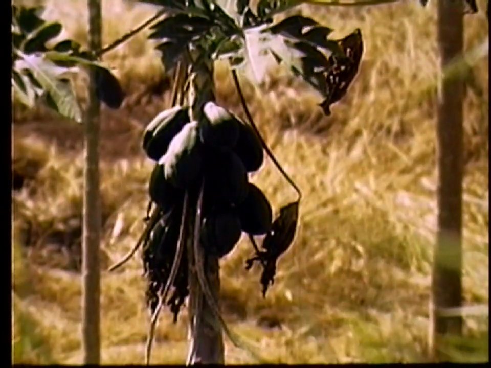 Scene 46