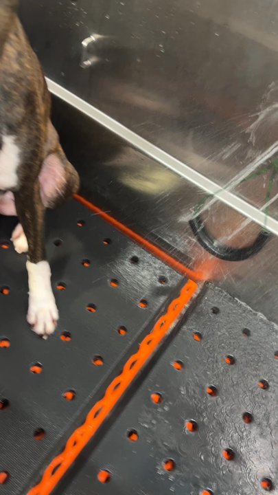 Tomlinson's Feed - High-pressure shower - Pet Stores Near Me - Leander, Texas