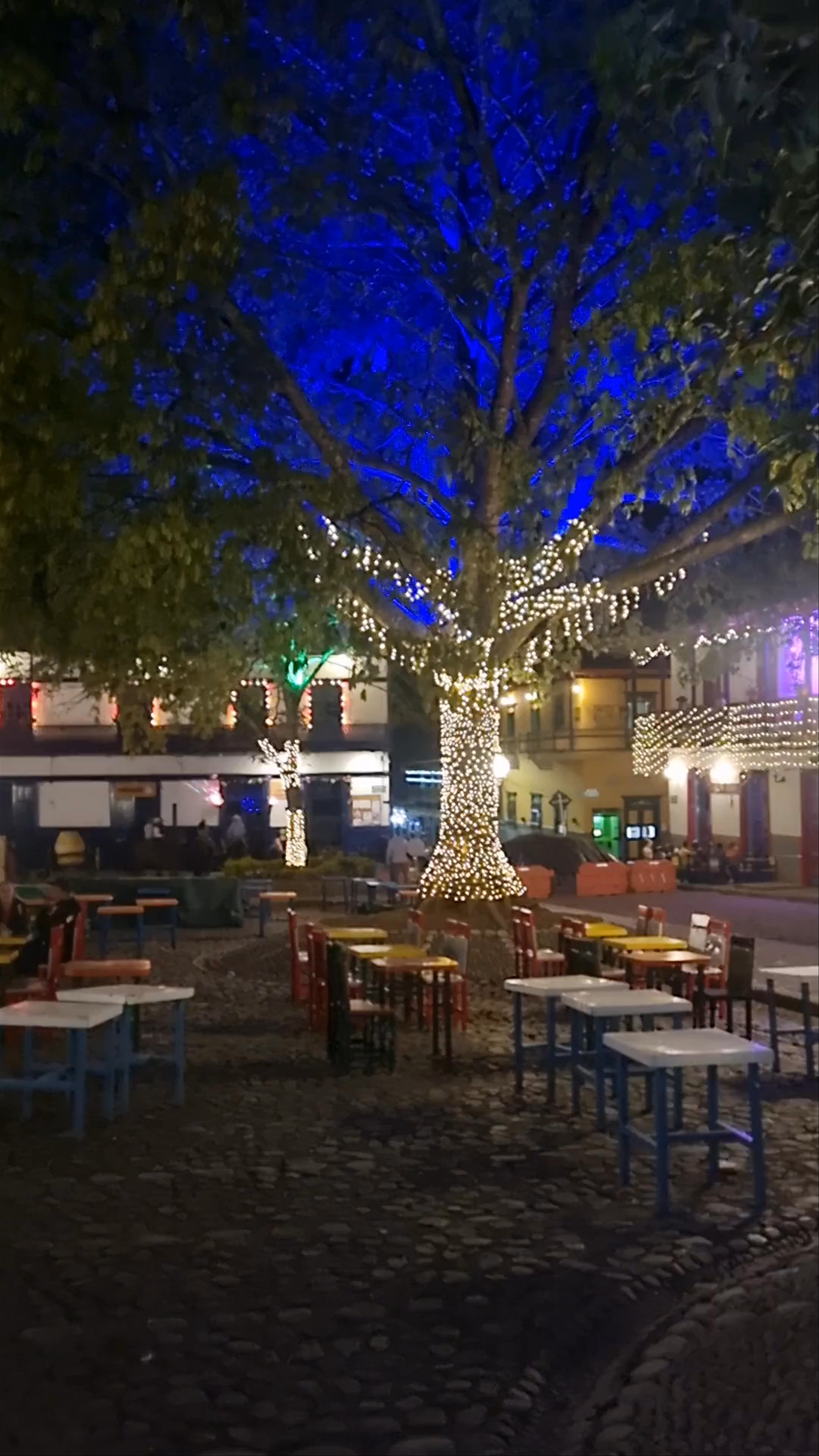 Jardin Plaza