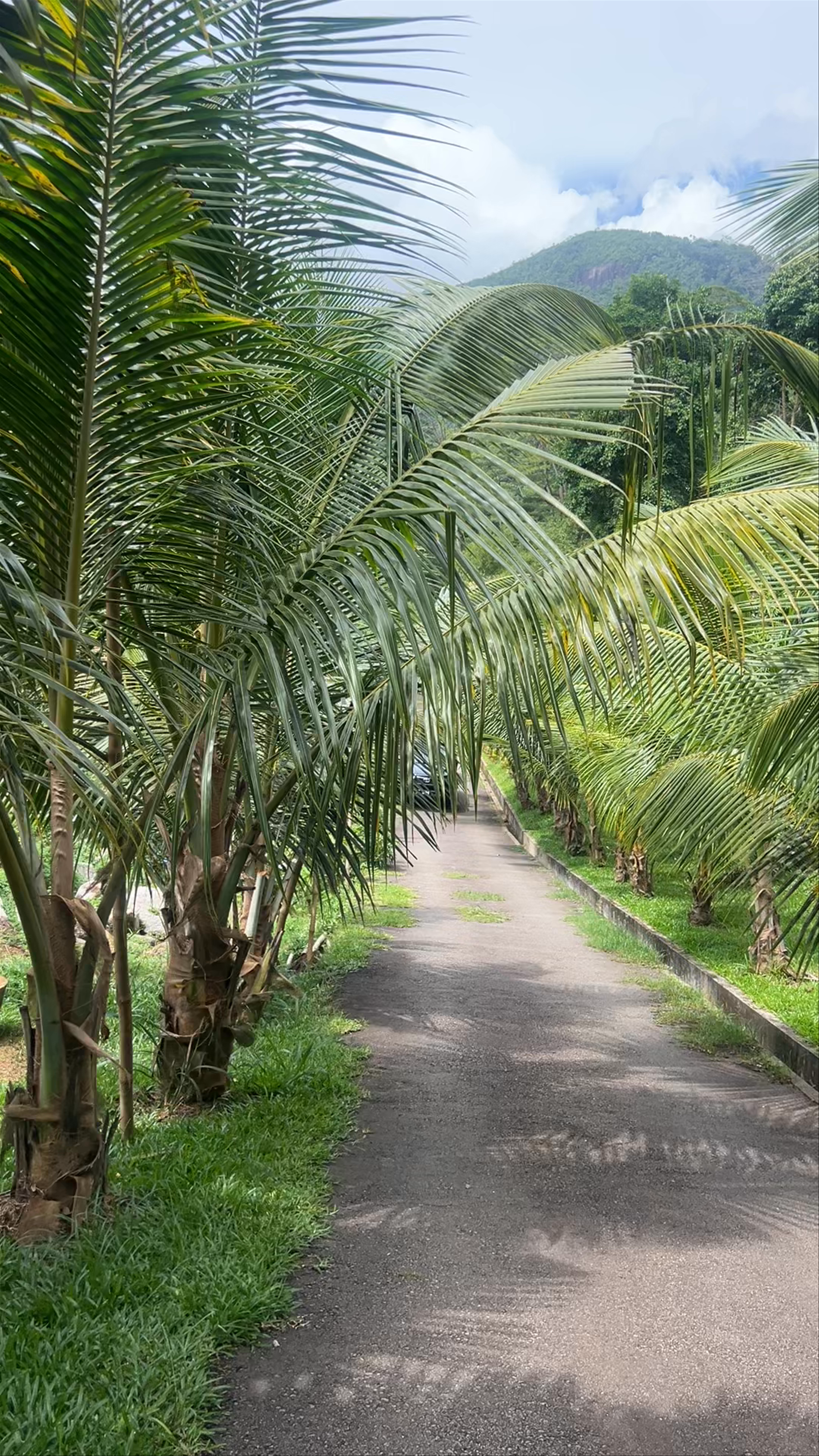 National Botanical Garden