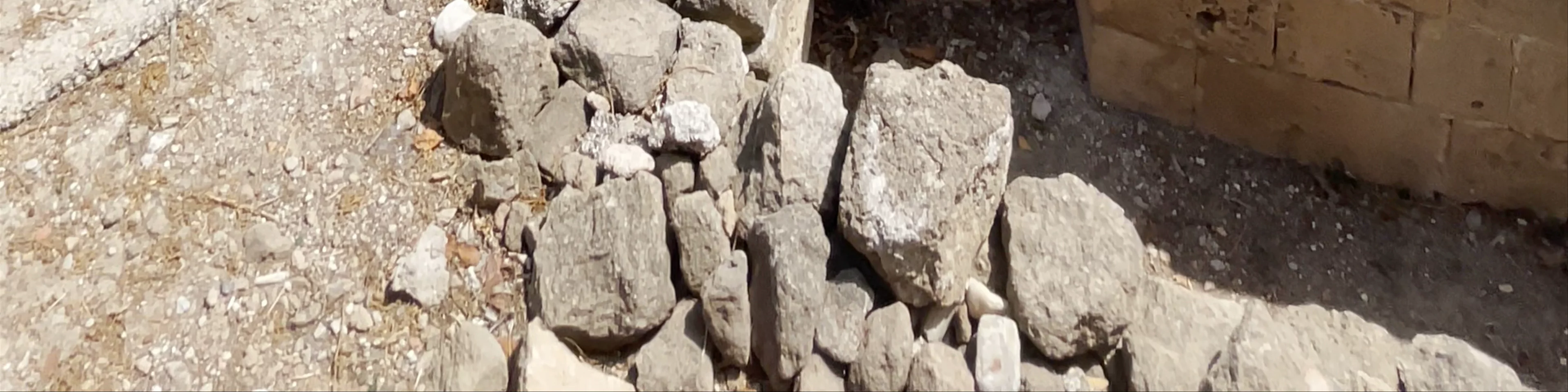 St Paul's Church and archeological site