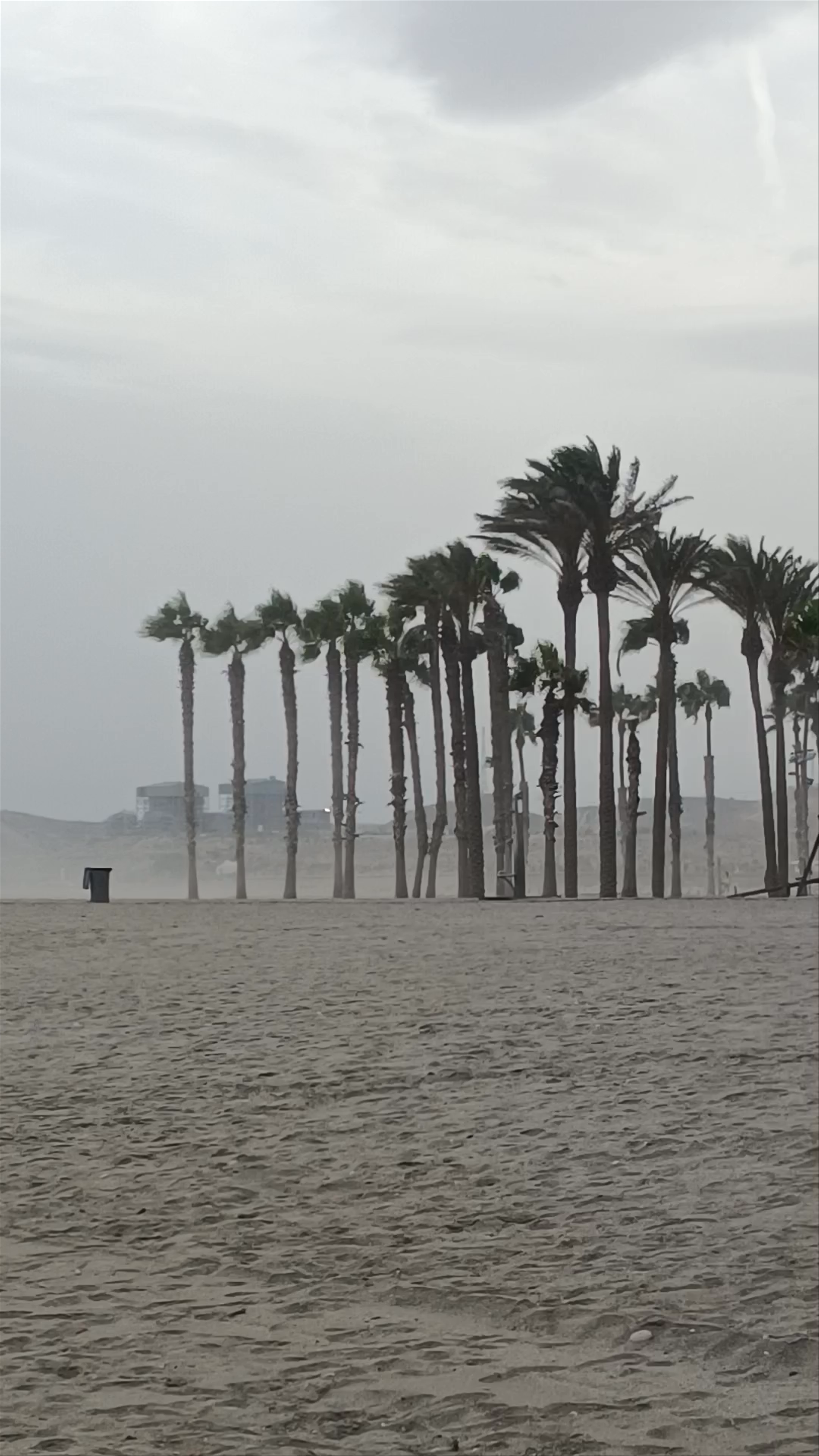 Misty Winds at Playa de La Puntica Beach, Almería, Spain