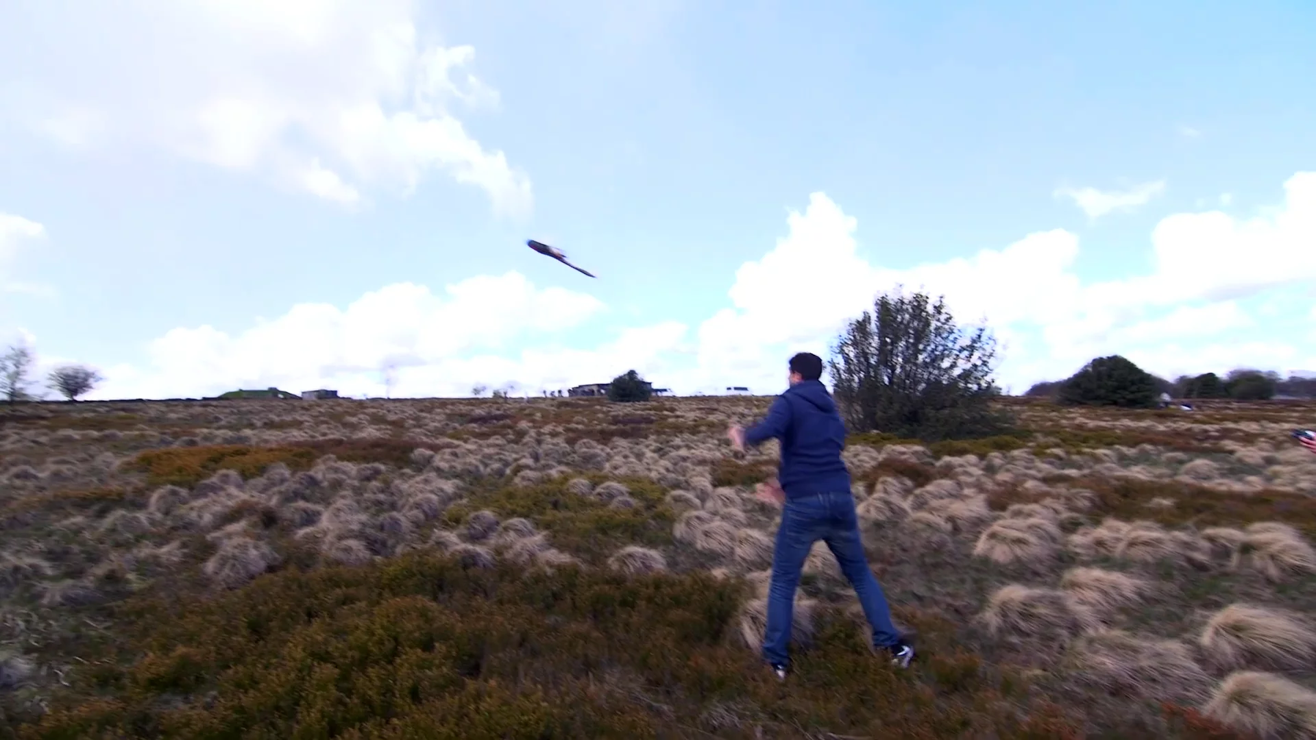 Unlocking Aerospace Innovation: Sheffield University's Engineering Journey