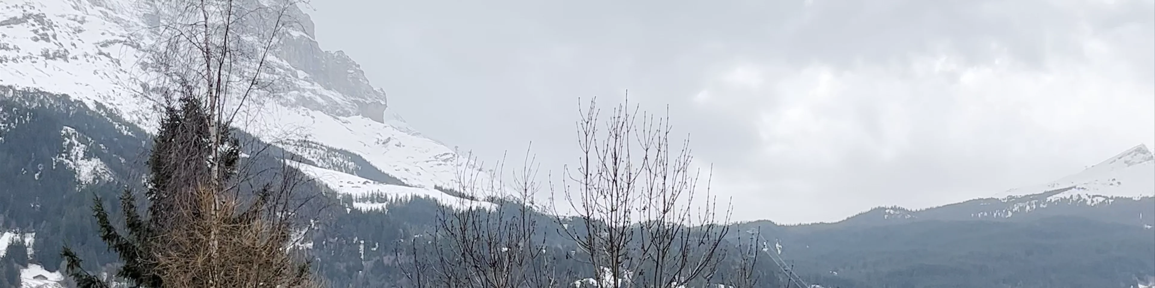 Grindelwald