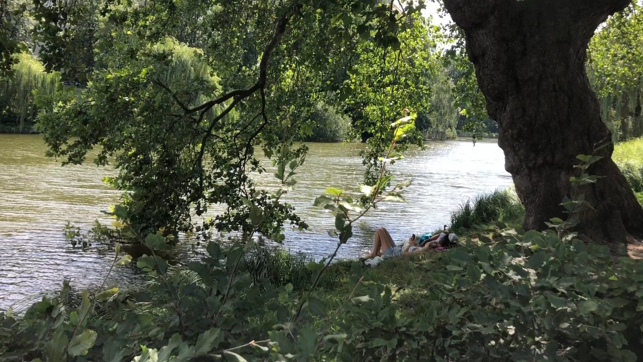 Lietzenseepark - Ok - Parks Near Me - Berlin, BE