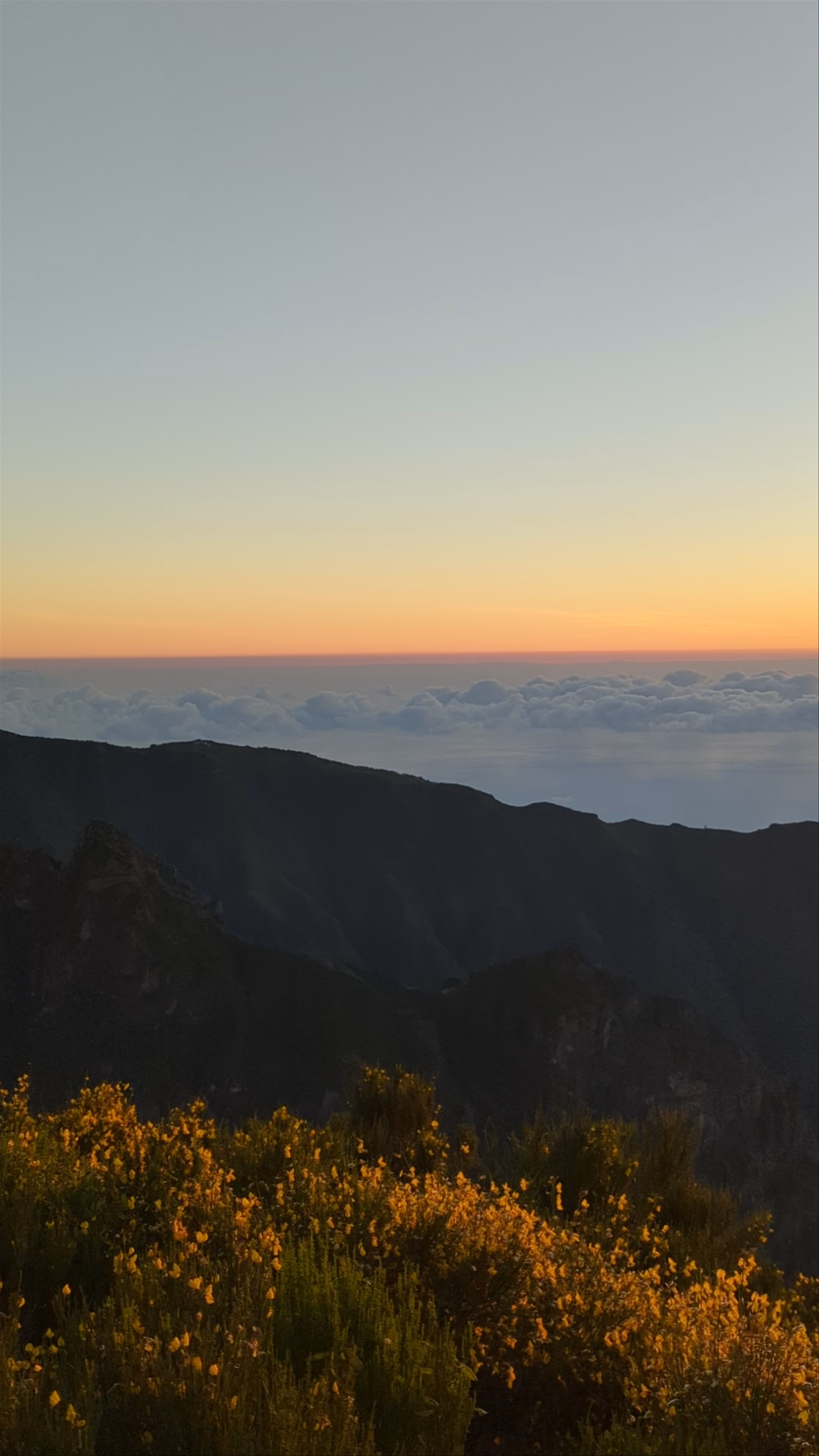 Sunset Serenity at Miradouro do Juncal, Portugal