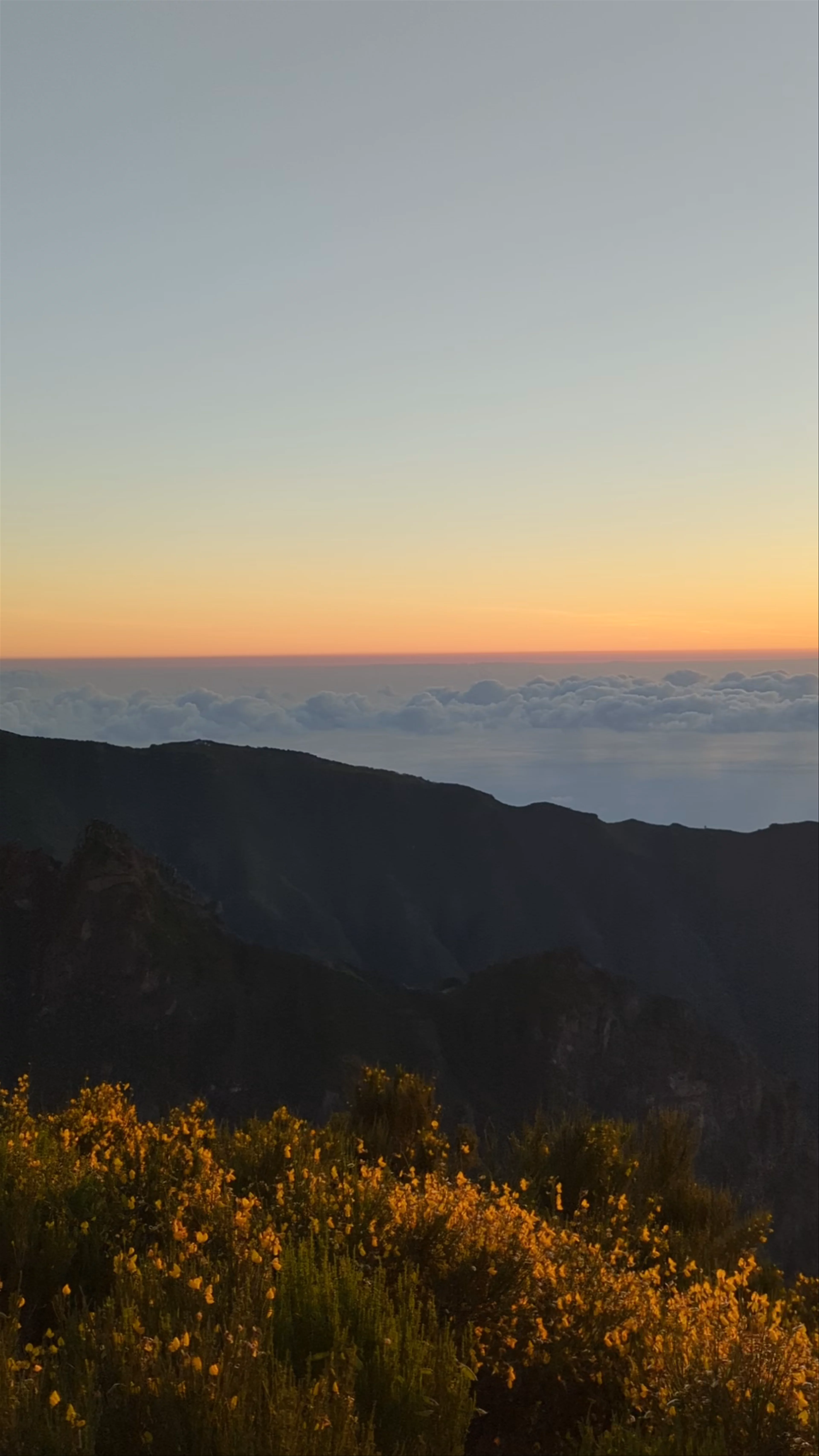 Miradouro do Juncal
