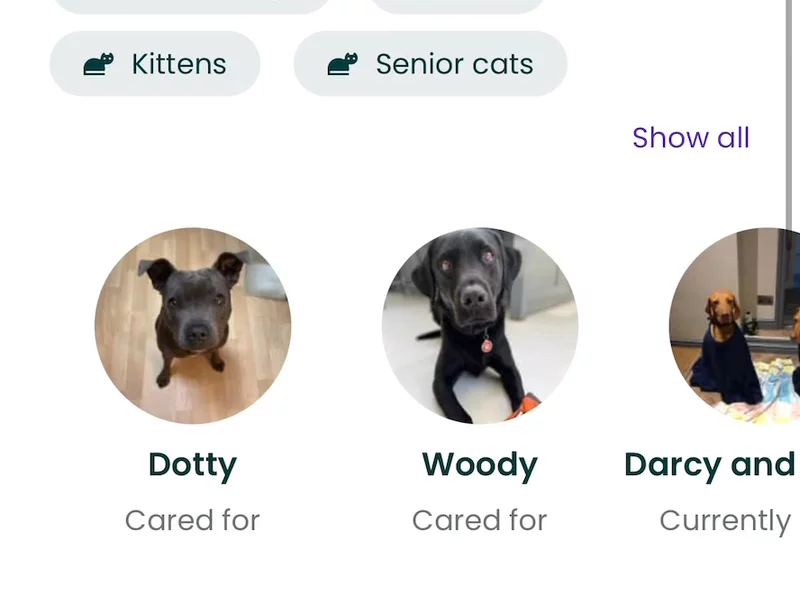 Trusted House Sitters app