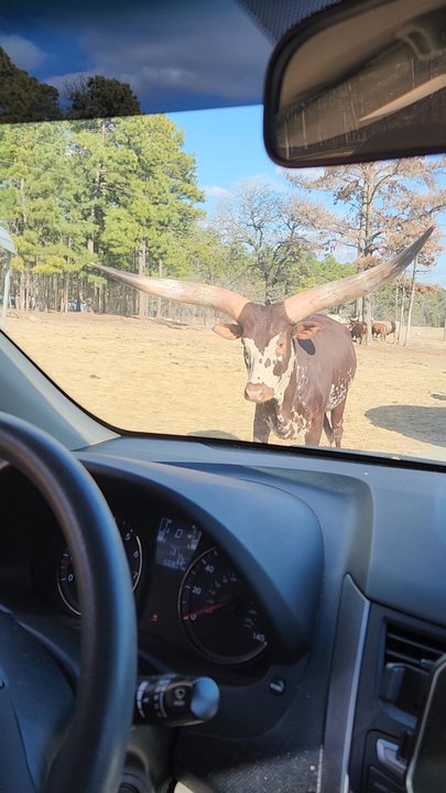 Aloha Safari Park - Zoos Near Me - Cameron, North Carolina
