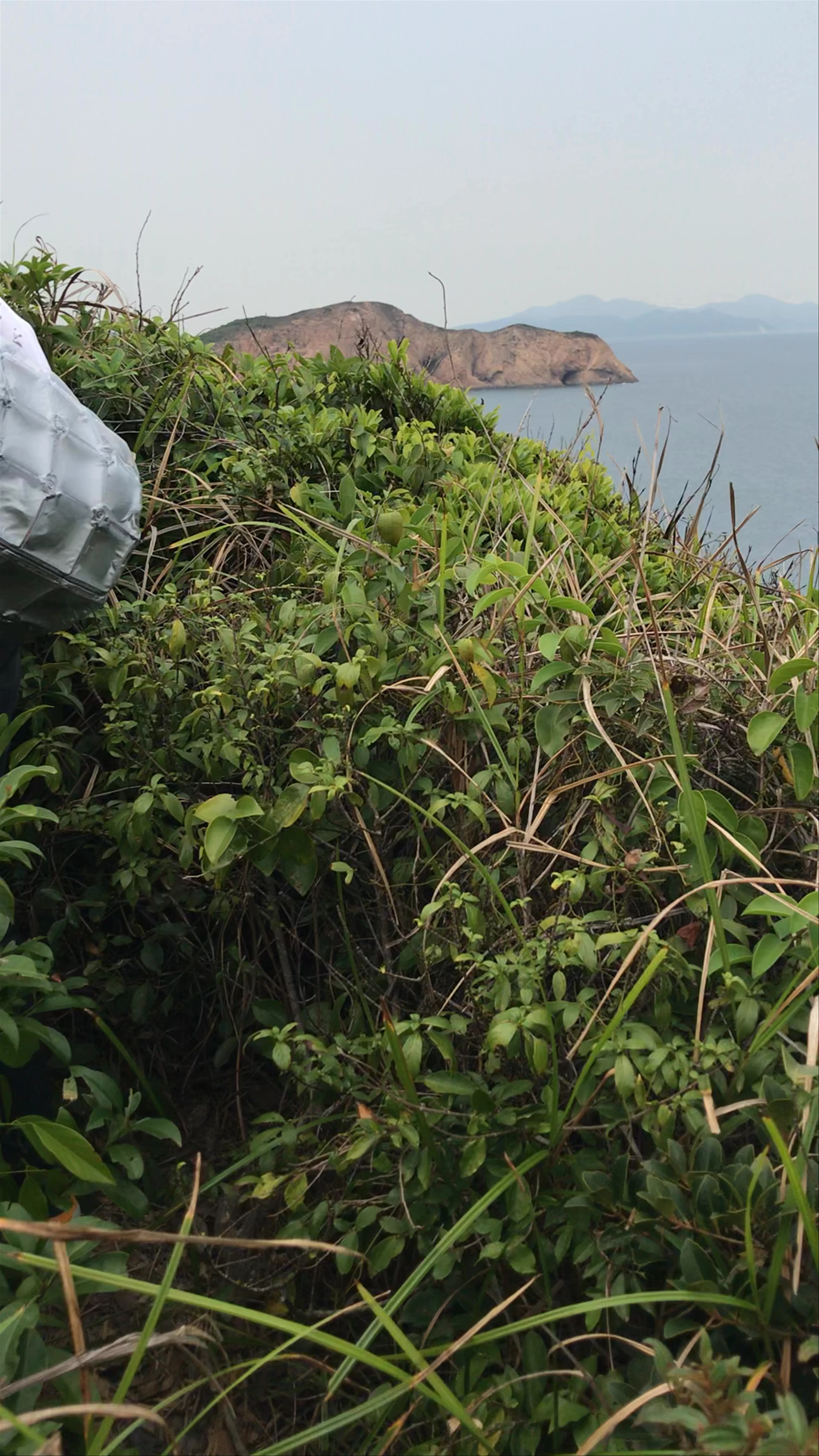 Basalt Island