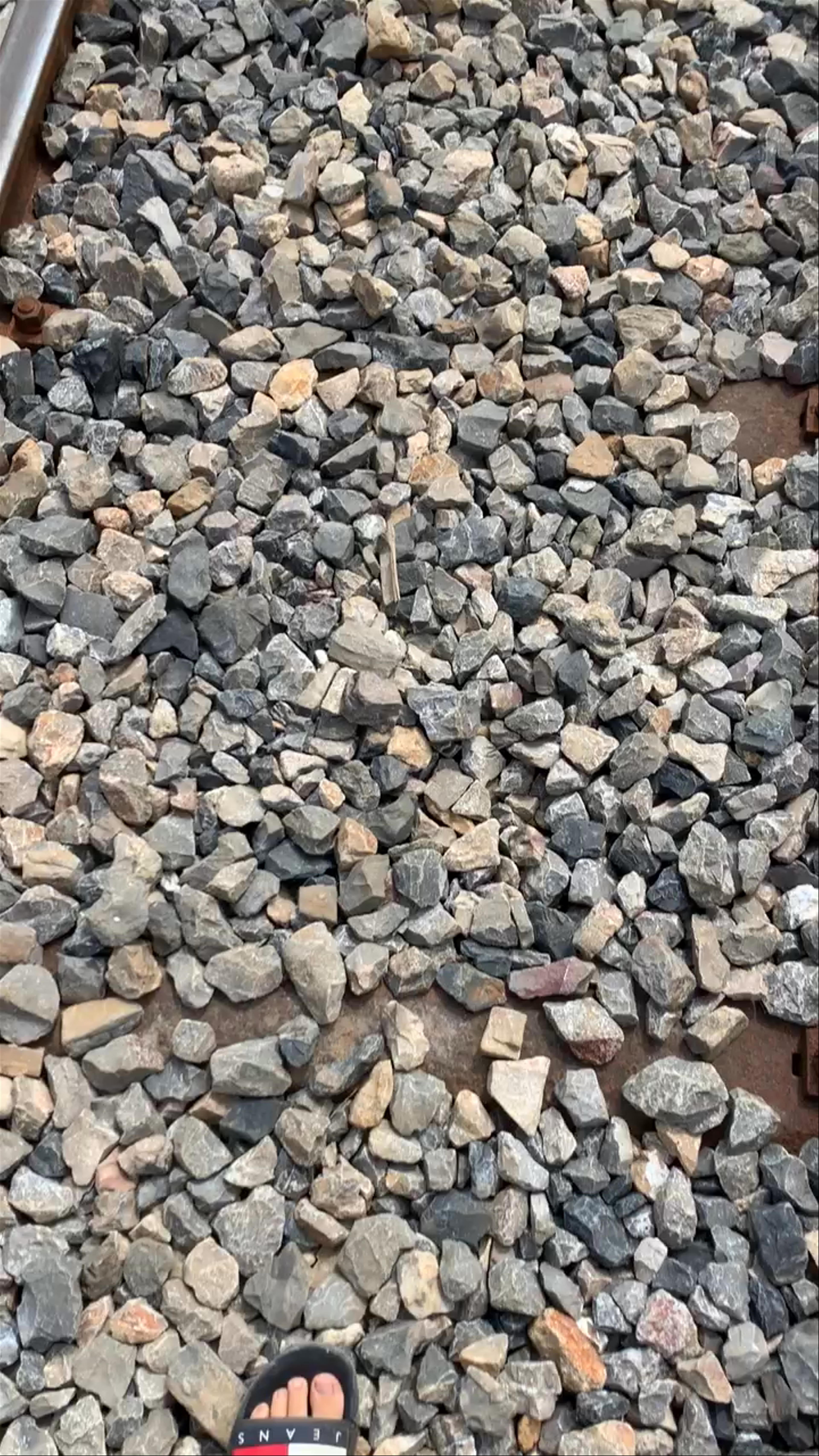 Bamboo Train Battambang