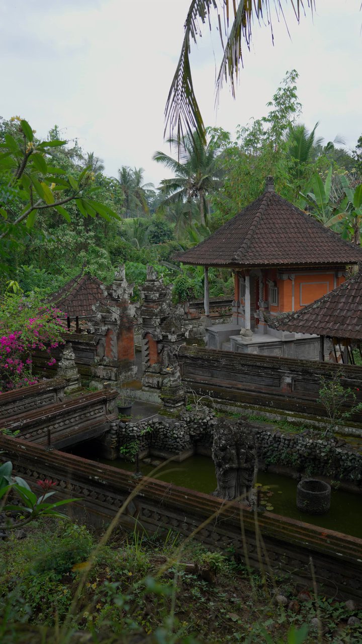 dream escape
📍 Bali
🎥 Sergei Starostin · Pexels
#travel #beach #island #paradise #wanderlust