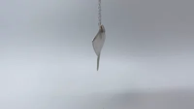 Preview image for video