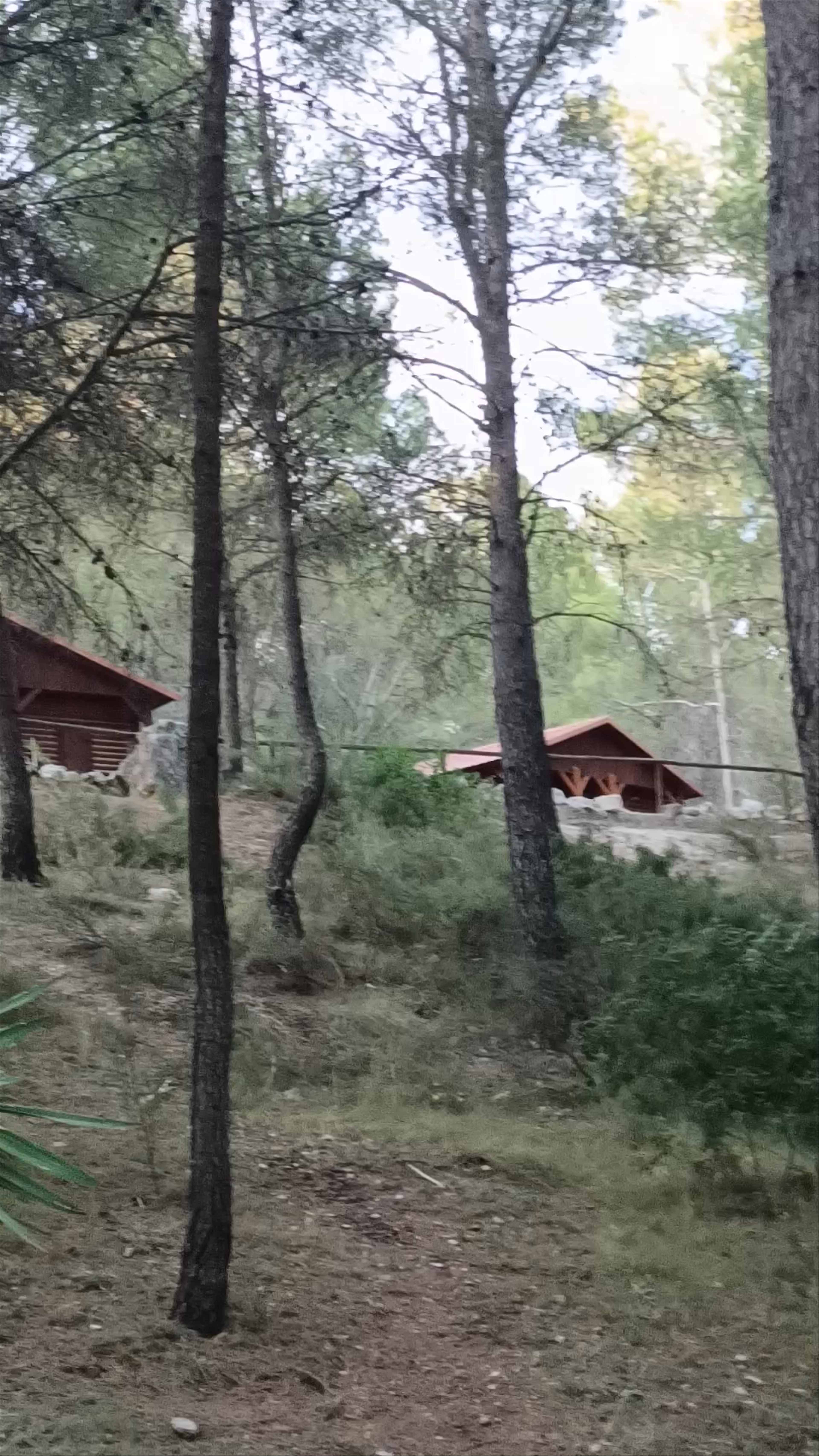 Enchanting Camping Escape in La Puerta, Moratalla, Spain