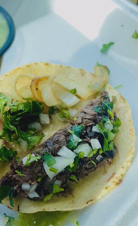 Tacos Don Sammy - Best tacos in Charlotte - Mexican Near Me - Charlotte, North Carolina