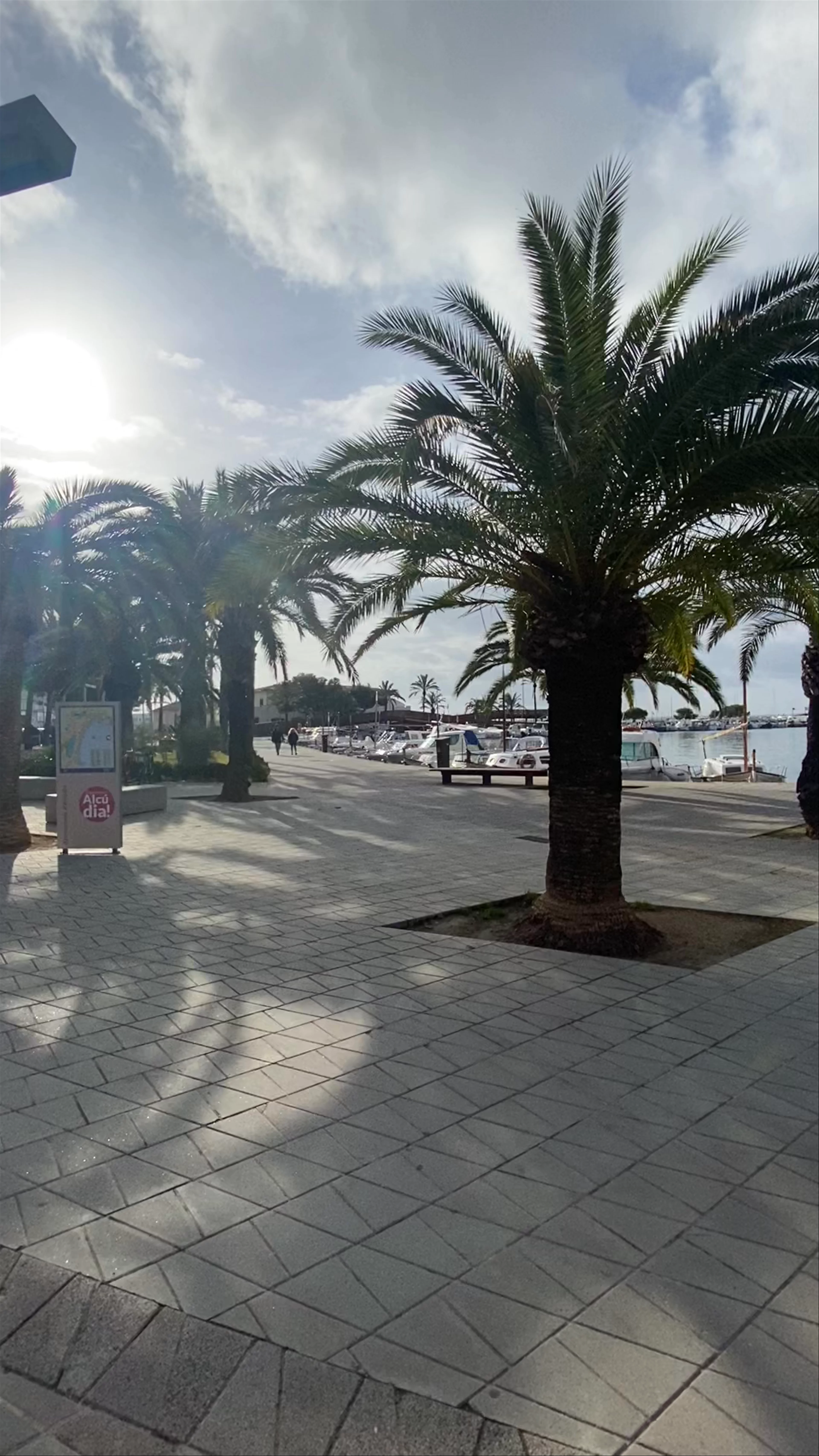 Port d'Alcúdia