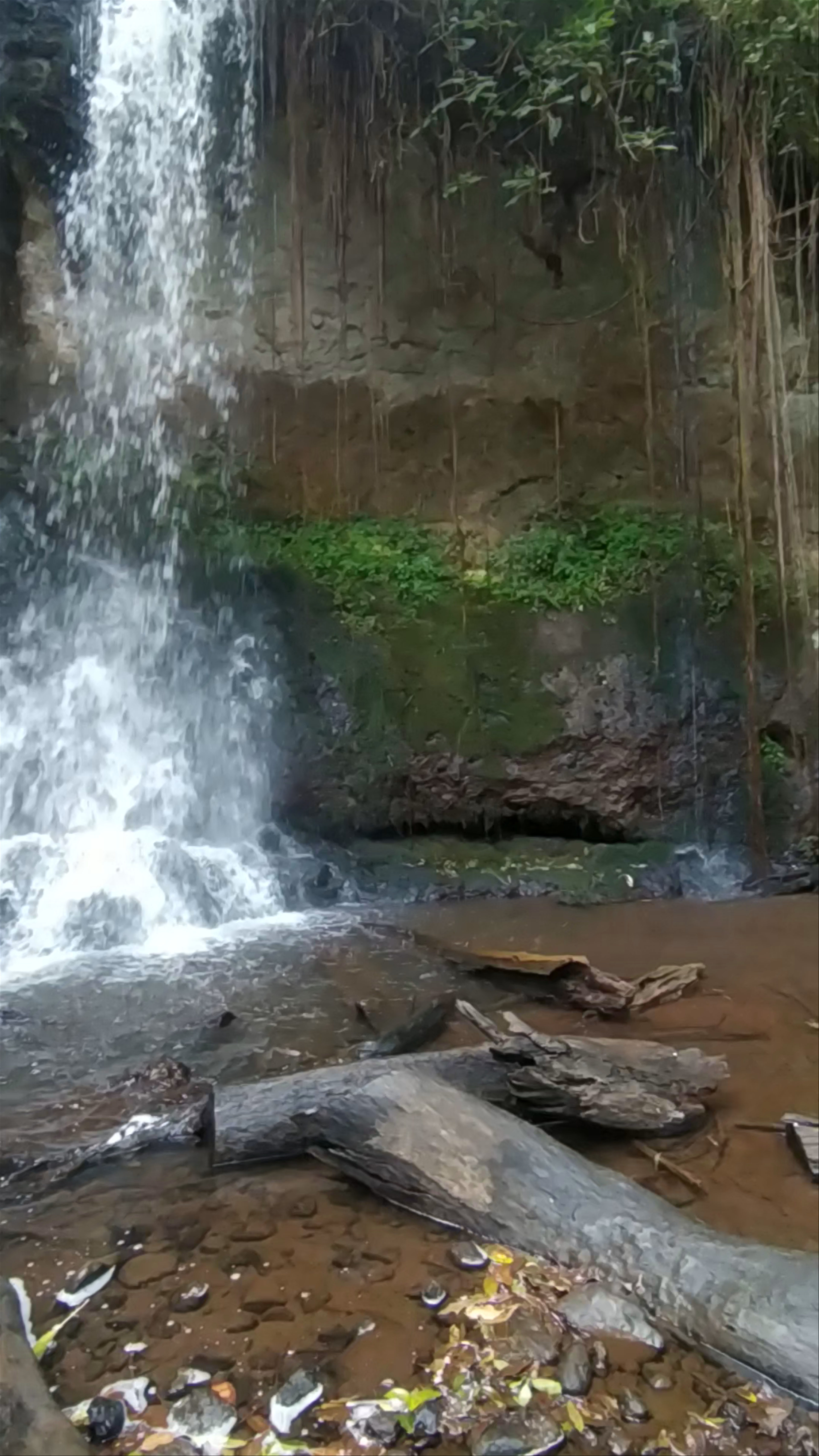 Mount Elgon National Park