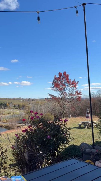 Nostrano Vineyards - Gorgeous views! - Wineries Near Me - Milton, New York