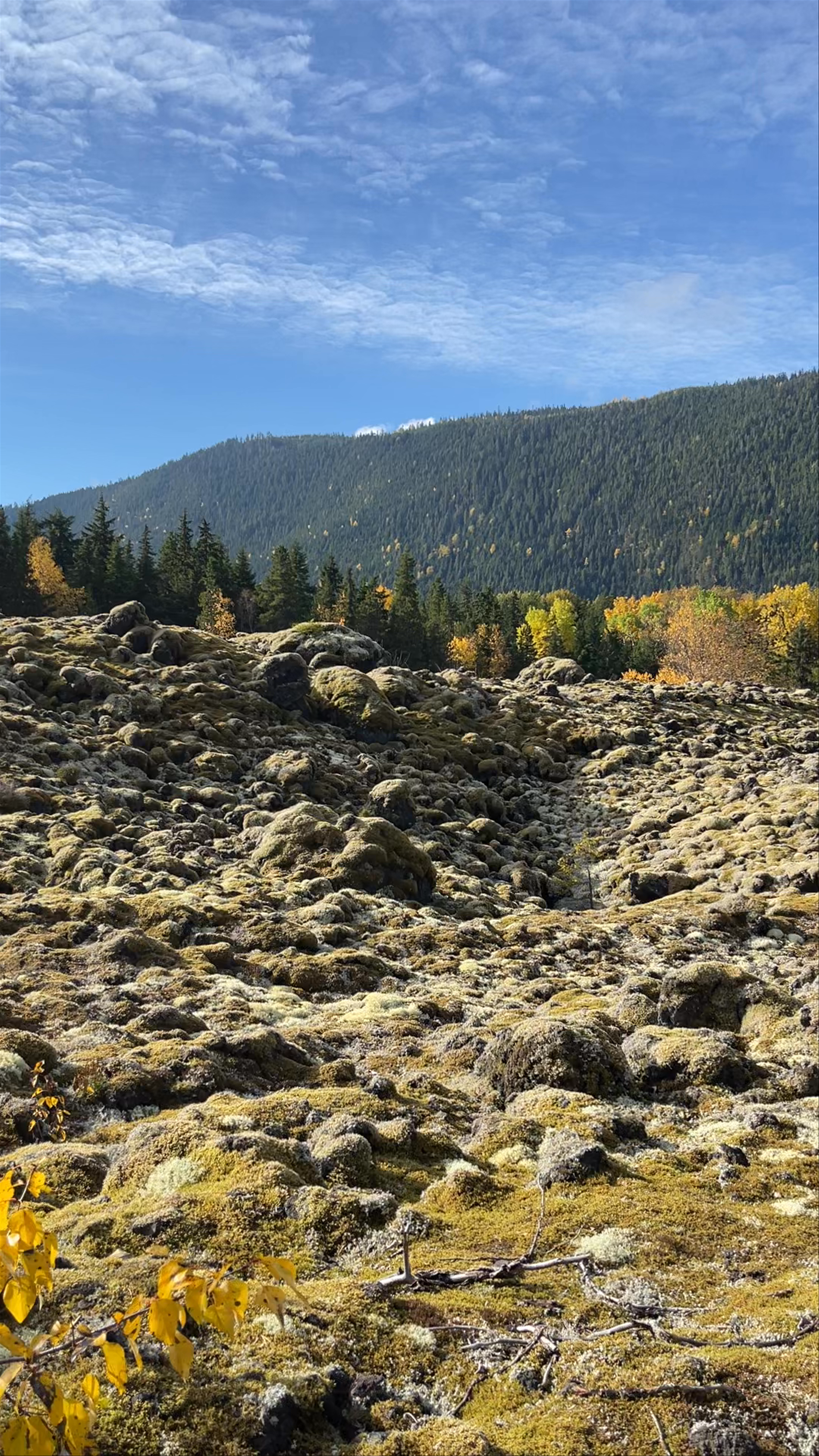 Exploring the Nisga'a Lava Flow Trailhead in Terrace, British Columbia