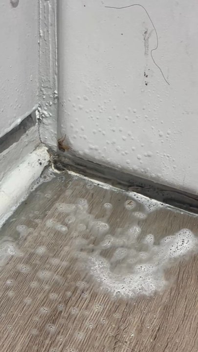 Inveserve Corp - We have to use so much spray and roach spray, if you care about your health do not move here - Property Management Near Me - San Gabriel, California