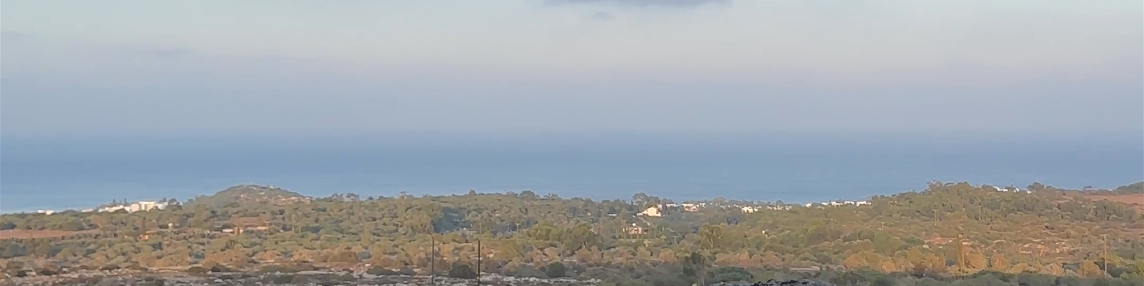 Protaras