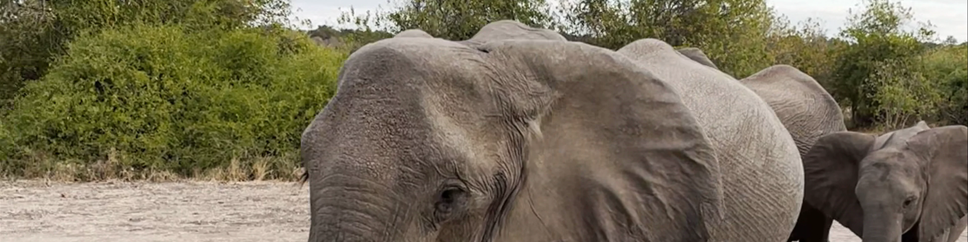 Chobe National Park
